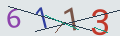 verifycode